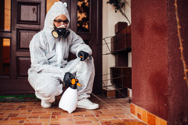Reliable Bed Bug Control contractor in Indian Head, MD by Nex Pest Control