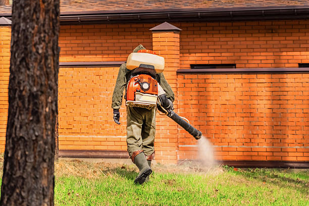 Trusted Rodent Control service in Indian Head, MD - Nex Pest Control